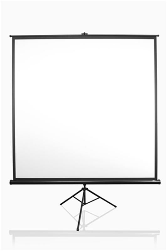 Екран на тринозі Elite Screens 99" (177.8x177.8, 1:1) (T99UWS1)