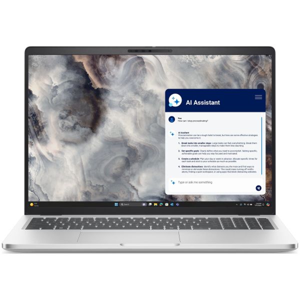 Ноутбук Dell Pro 16 Plus (BTO104PB16250UA_W11P) Silver