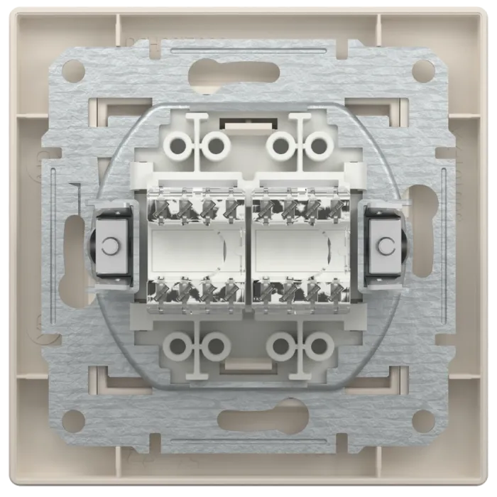 Schneider Electric Asfora EPH4400123 РОЗЕТКА КОМП'ЮТЕРНА RJ45 UTP КАТ. 5Е ПОДВІЙНА