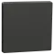 Schneider Electric Merten System Design MTN3300-6034 Клавіша